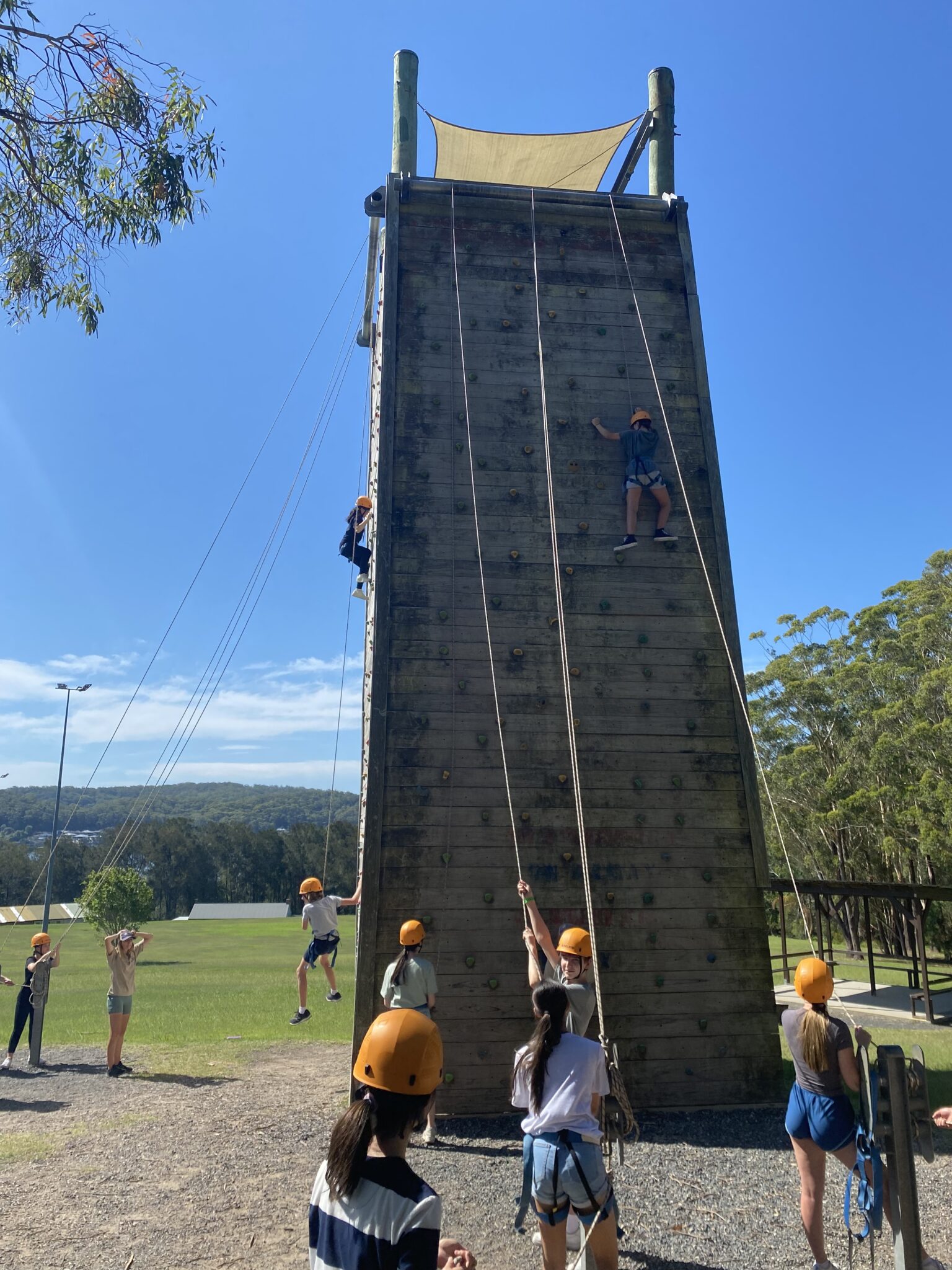 Rockhill Aussies 80 - 6b7flv7