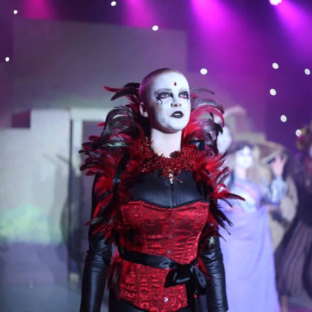 The McDonald College Acting Stream