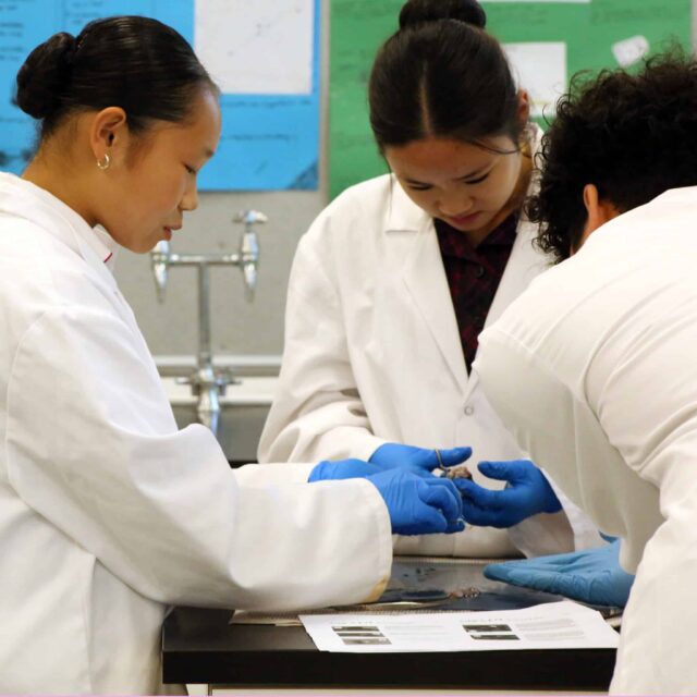 ACADEMICS SCIENCE Eye dissecting class 20260305_456 SQR